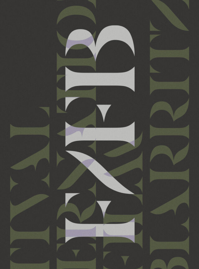 Festival du Film de Biarritz